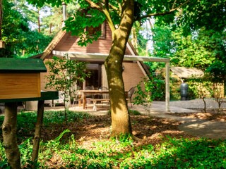 Ferienhaus Lanaken Außenaufnahme 13