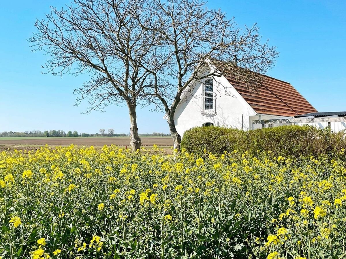 Holiday house Ystad Outdoor Recording 1