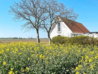 Vakantiehuis Ystad Buitenaudio-opname 5