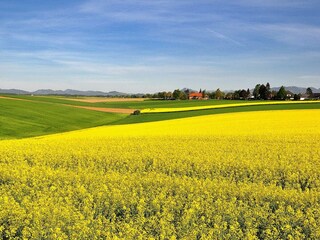 Vakantiehuis Ystad  21