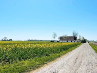Vakantiehuis Ystad  15