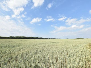 Appartement Warrenzin Buitenaudio-opname 2