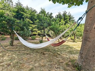 Vakantiehuis Søby Buitenaudio-opname 2