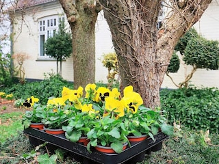 Ferienhaus Søby  19