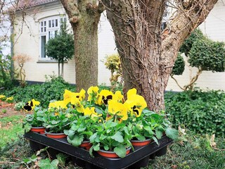 Holiday house Søby  21