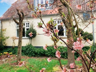 Casa per le vacanze Søby  16