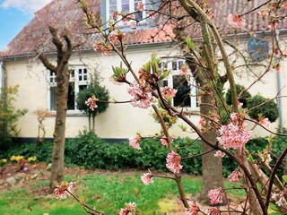 Maison de vacances Søby  30