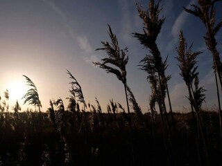 Vakantiehuis Hou  17