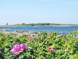 Vakantiehuis Halmstad  18