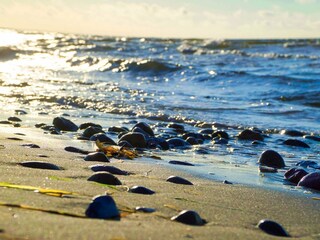 Vakantiehuis Sydals  21