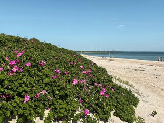 Vakantiehuis Sydals  36