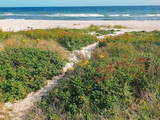 Maison de vacances Sydals  26