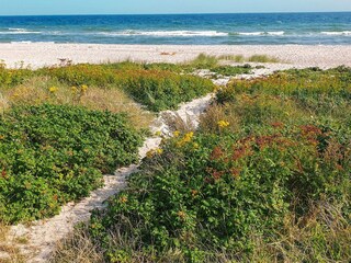 Vakantiehuis Sydals  26