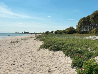 Vakantiehuis Sydals  33