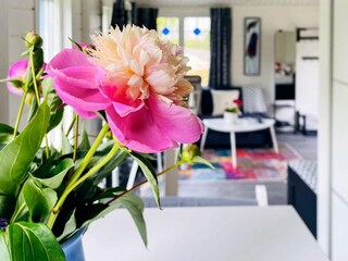 Vakantiehuis Göteborg  14