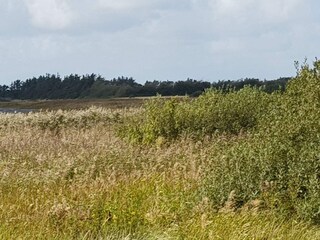 Vakantiehuis Thorsminde  13