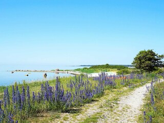 Vakantiehuis Welt  10