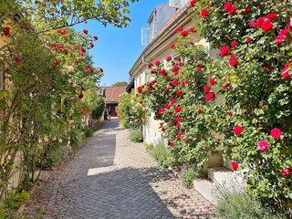 Holiday house Welt  12