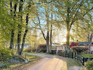 Ferienhaus Hörvik  20