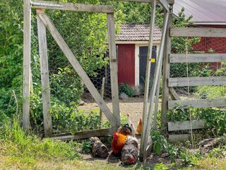 Vakantiehuis Valdemarsvik Buitenaudio-opname 1