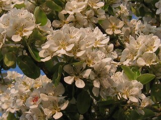 Casa per le vacanze Couesmes-Vaucé Ambiente 18