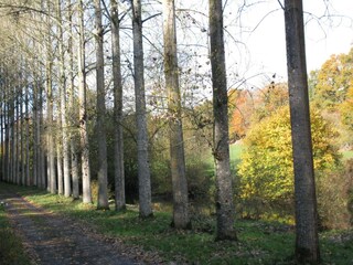 Ferienhaus Couesmes-Vaucé Umgebung 21