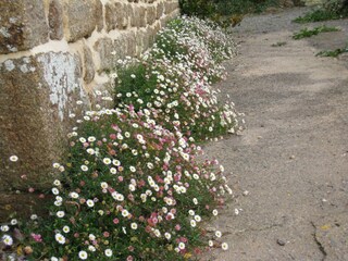 Casa de vacaciones Couesmes-Vaucé  38