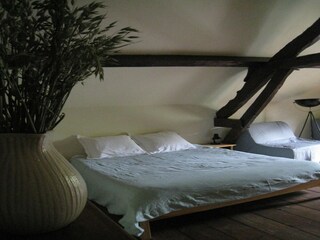 Vakantiehuis Couesmes-Vaucé Kenmerken 9