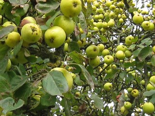 Holiday house Couesmes-Vaucé Environment 23