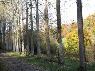 Maison de vacances Couesmes-Vaucé Environnement 20