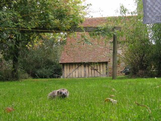 Casa de vacaciones Couesmes-Vaucé Entorno 22