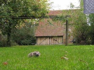 Holiday house Couesmes-Vaucé Environment 22