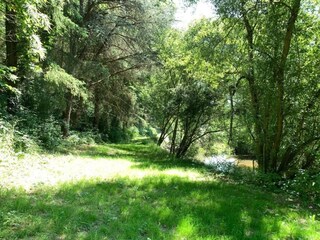 Vakantiehuis Couesmes-Vaucé Omgeving 17