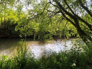 Maison de vacances Couesmes-Vaucé Environnement 25