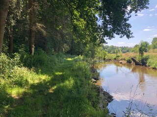 Vakantiehuis Couesmes-Vaucé Omgeving 29