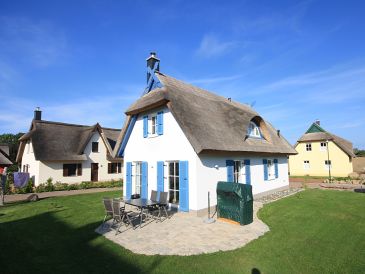 Ferienhaus Treibholz