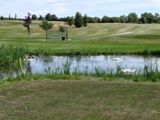 Vakantiehuis Sønderballe  13