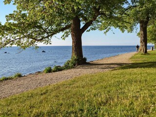 Vakantiehuis Visby  25