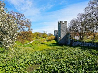 Vakantiehuis Visby  10