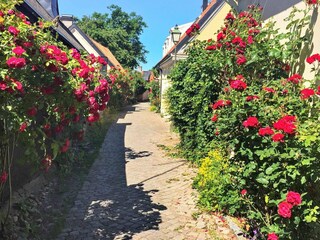 Holiday house Visby  14
