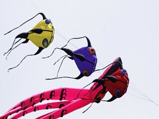 Maison de vacances Dieppe Environnement 21