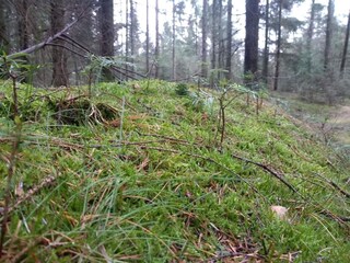 Casa de vacaciones Jegum  38