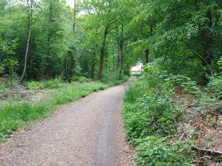 Vakantiehuis Jegum  39