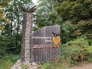 Apartamento Elend Entorno 38