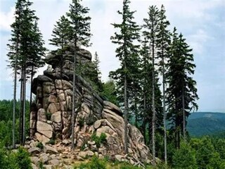 Apartment Elend Umgebung 30