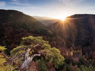 Appartamento Elend Ambiente 35