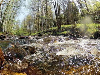 Casa de vacaciones Hasselfelde Entorno 16