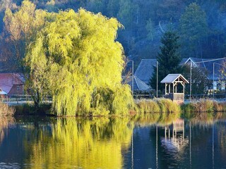 Casa per le vacanze Hasselfelde Ambiente 13