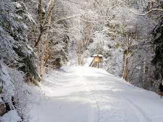 Casa de vacaciones Hasselfelde Entorno 17