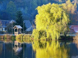 Holiday house Hasselfelde Environment 18